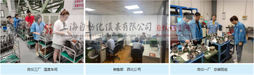 上海自動(dòng)化儀表有限公司銷售部和研控組