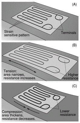 重點解說關于傳感器類型的全部基礎內容