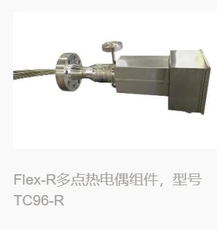 Flex-R多點熱電偶組件，型號TC96-R